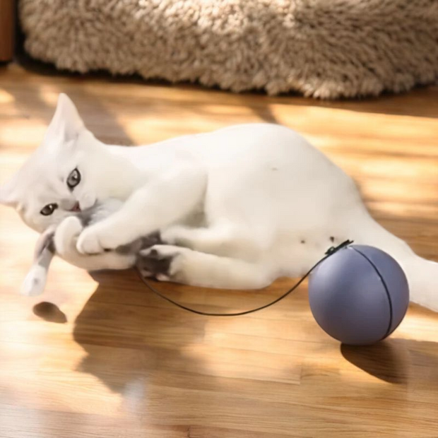 Interactive Pet Toys 3.0 Chasing Ball With Little Mouse - Tutuky