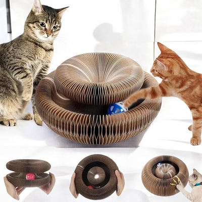 Magic Organ Cat Toy Scratcher - Tutuky