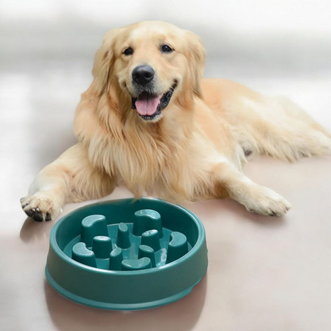 Pet Slower Food Bowl - Tutuky