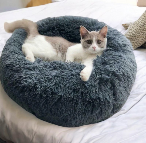 Plush beds for cats and small dogs - Tutuky