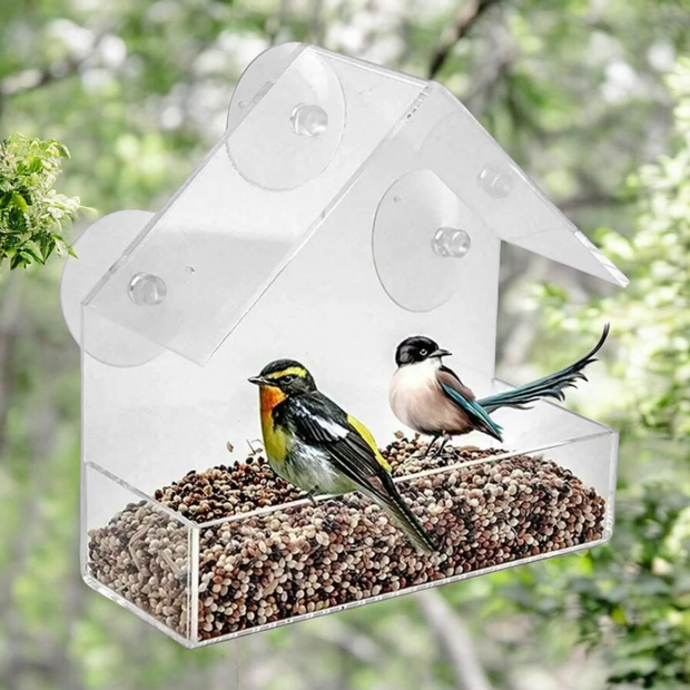 Suction Cup Bird Feeder - Tutuky