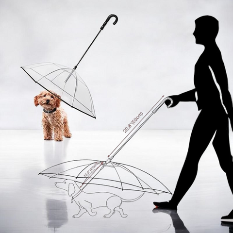 Umbrella for walking pets - Tutuky