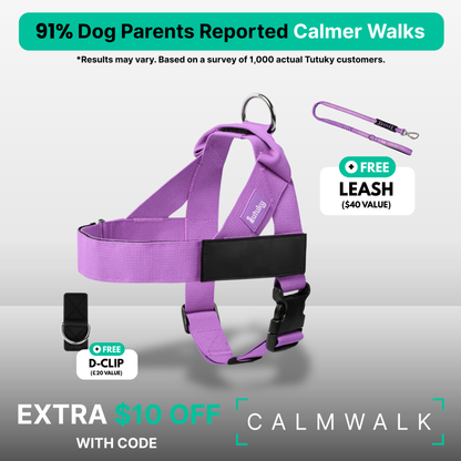 Stops Pulling Instantly – Enjoy Peaceful Walks Again - Tutuky