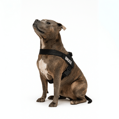 CalmFlow Anti-Pull Dog Harness - Black - Full Product