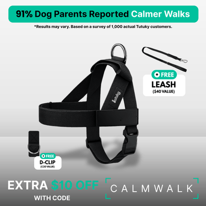 CalmFlow Anti-Pull Dog Harness - Black - Front View