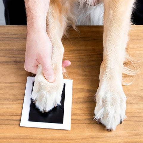 Pet Paw Print Kit With 1 Ink Pad And 2 Imprint Cards - Tutuky