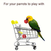 5pcs Bird Training Toys for Parrots – Best Parrot Intelligence Toys for Fun & Learning - Tutuky