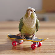 Bird Skateboard Toy - Tutuky