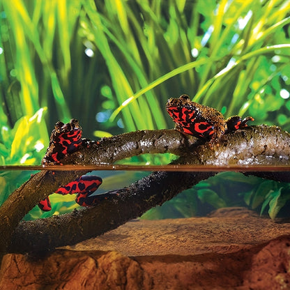 Reptile And Amphibian Breeding Tank Landscaping Accessories For Snake Lizard - Tutuky