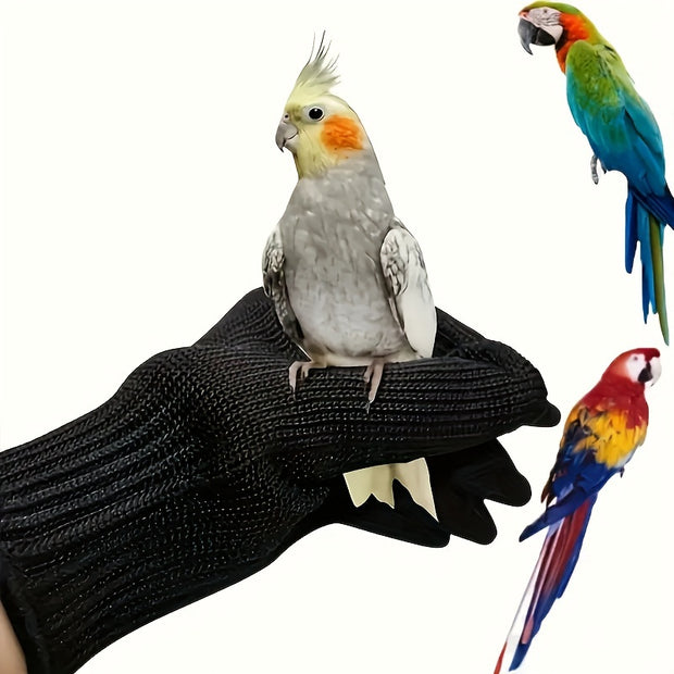 2-Pack Durable PE Bird Handling Gloves – Anti-Bite & Cut-Resistant for Parrots - Tutuky