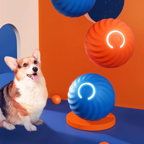 Automatic rubber ball for dogs - Tutuky