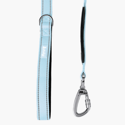 Dog leash with carabiner on a white background