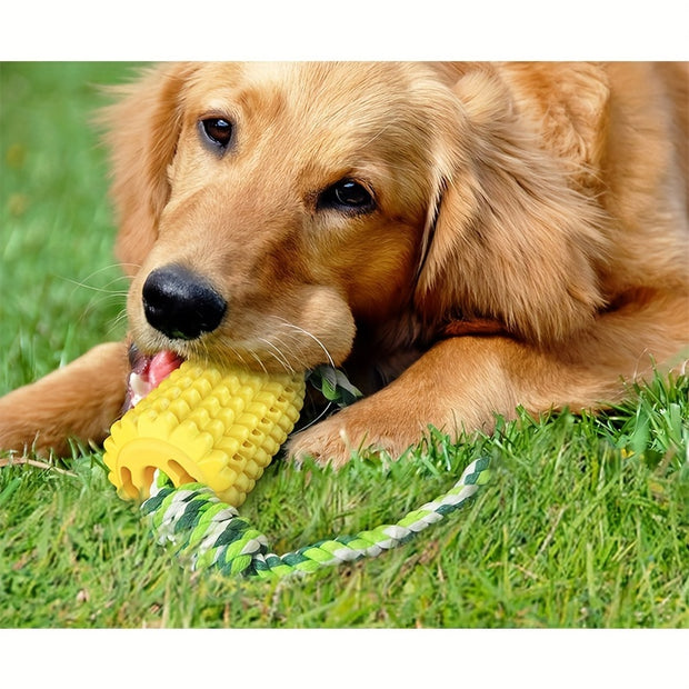 Dog Chew Toys for Aggressive Chewer - Tutuky