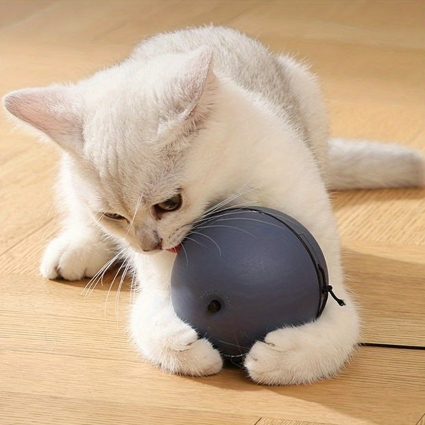 Interactive Pet Toys 3.0 Chasing Ball With Little Mouse - Tutuky