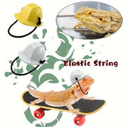 4pcs/Set Reptile Training Toys - Tutuky