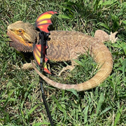 Adjustable Lizard Harness And Leash Set - Faux Leather Wings - Tutuky