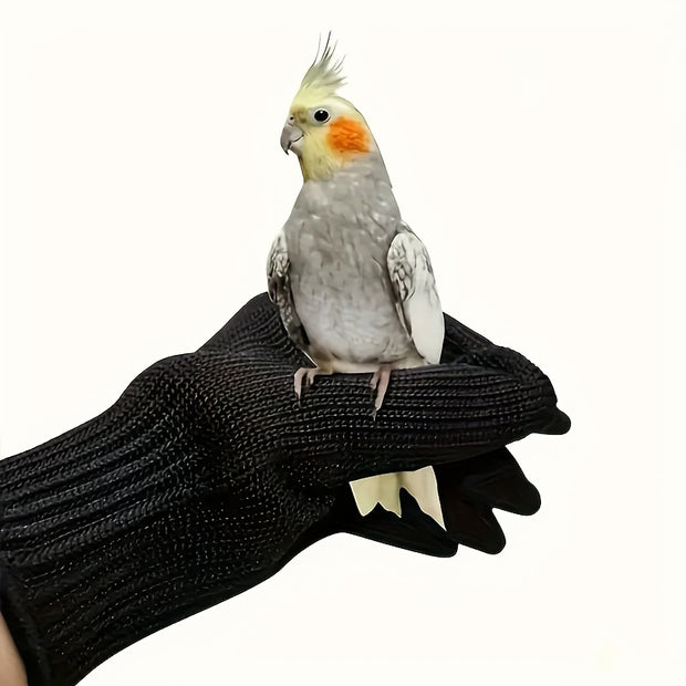 2-Pack Durable PE Bird Handling Gloves – Anti-Bite & Cut-Resistant for Parrots - Tutuky