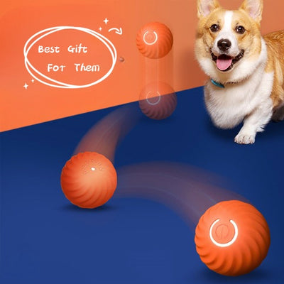 Automatic rubber ball for dogs - Tutuky