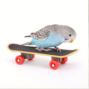 Bird Skateboard Toy - Tutuky