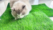 Reusable Pet Training Lawn - Tutuky