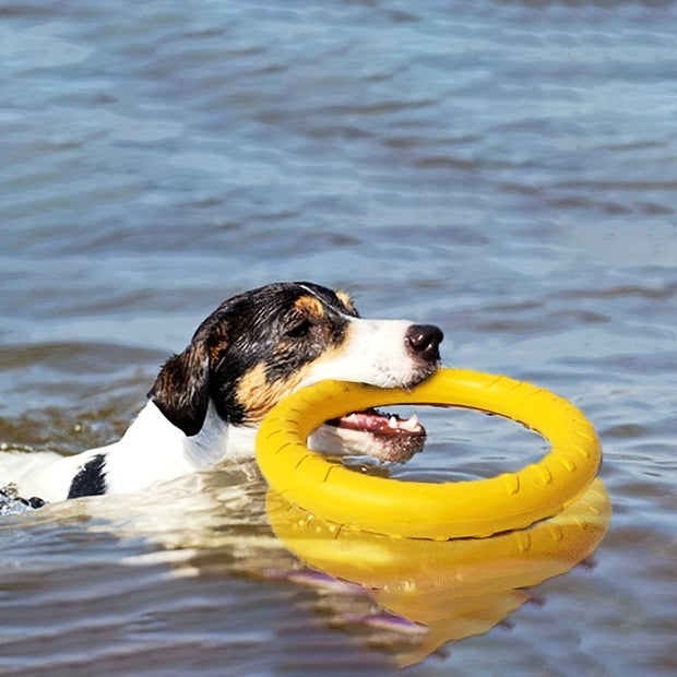 Dog Training Flight Loops - Tutuky