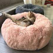 Plush beds for cats and small dogs - Tutuky