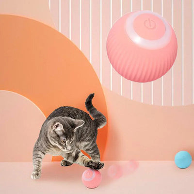 Electric chasing ball for Cats - Tutuky