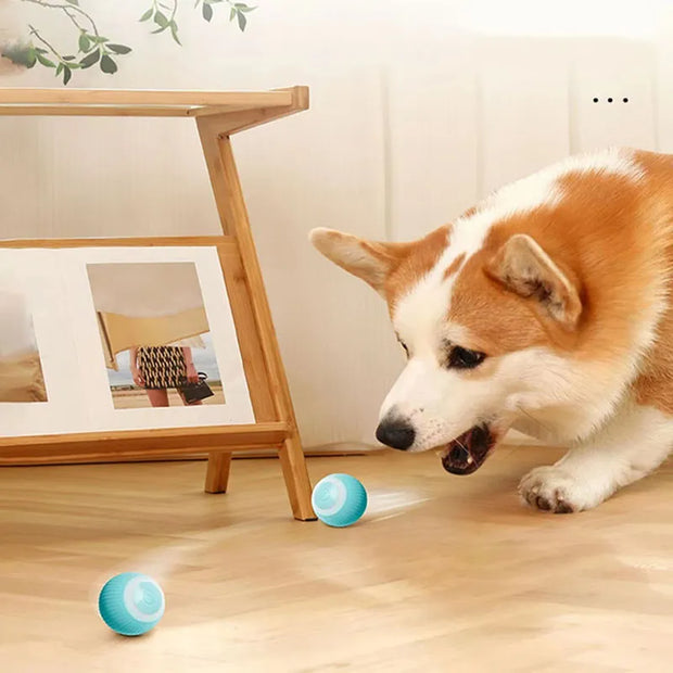 Electric chasing ball for Cats - Tutuky