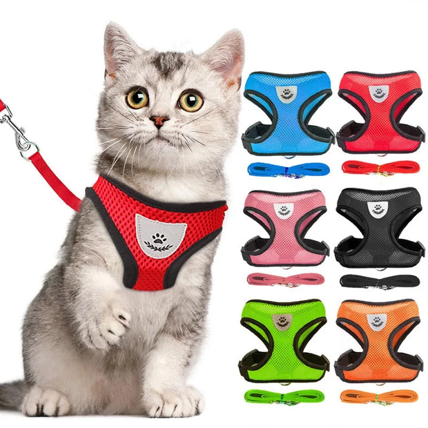 Pet Harness - Tutuky