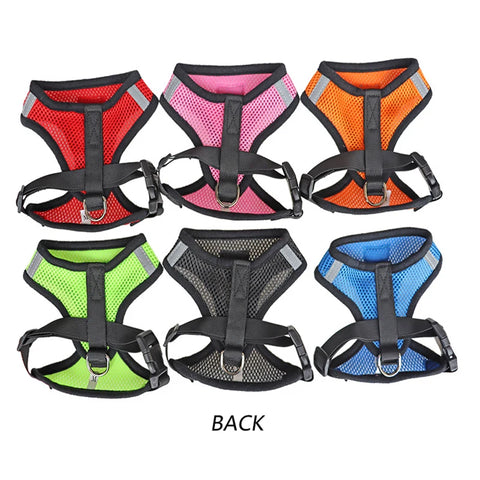 Pet Harness - Tutuky