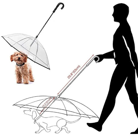 Umbrella for walking pets - Tutuky