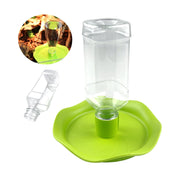 Reptiles Water Drinking Feeder Bowl - Tutuky