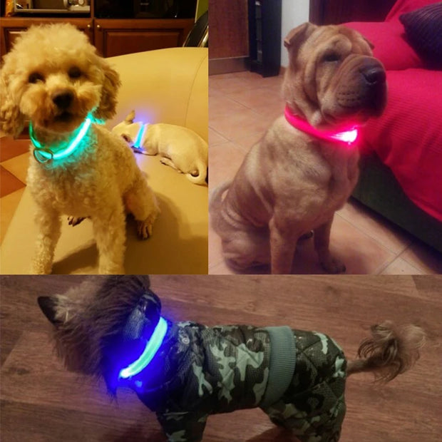 The LED Dog Collar Luminous Nylon Glowing - Tutuky