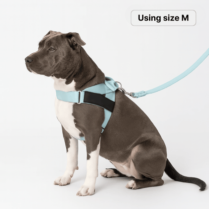 harness- CalmFlow™ Technology- Blue