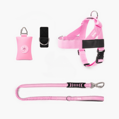 Pink dog harness, leash, a white background