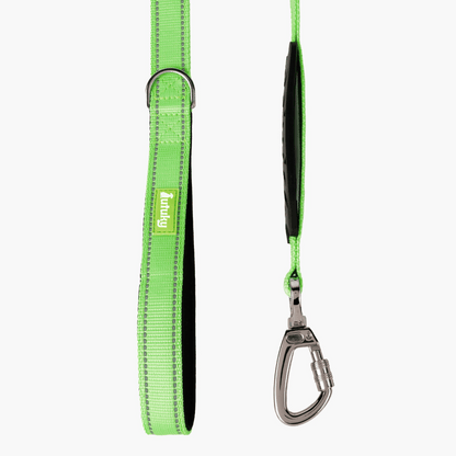 The leash that absorbs every pull and protects you