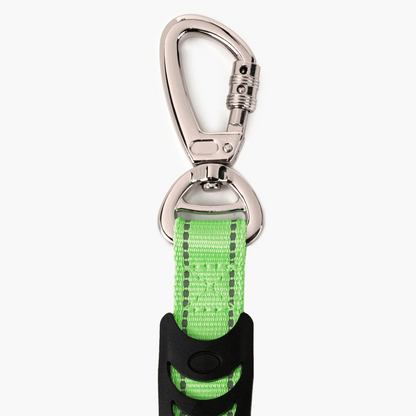 The leash that absorbs every pull and protects you