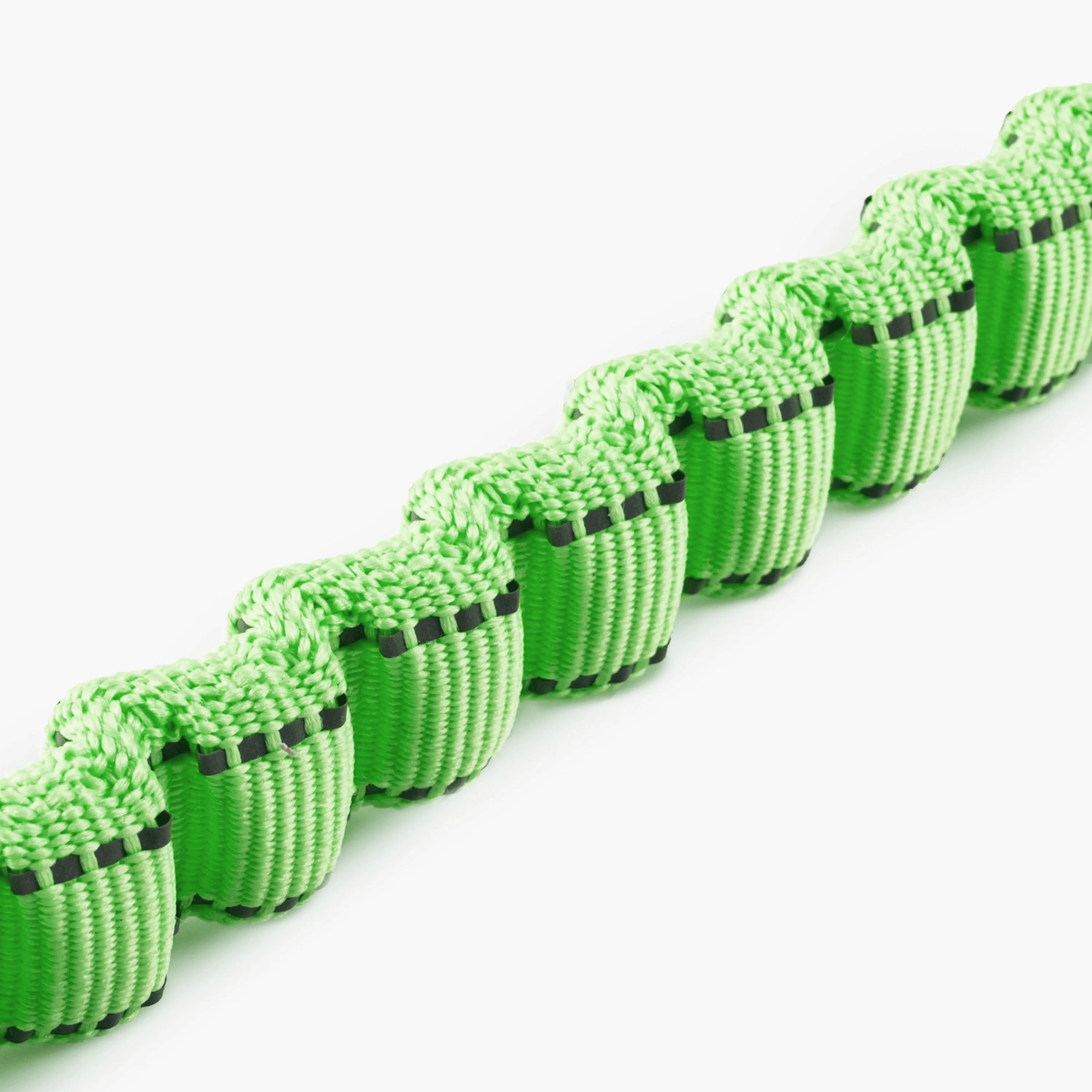 The leash that absorbs every pull and protects you