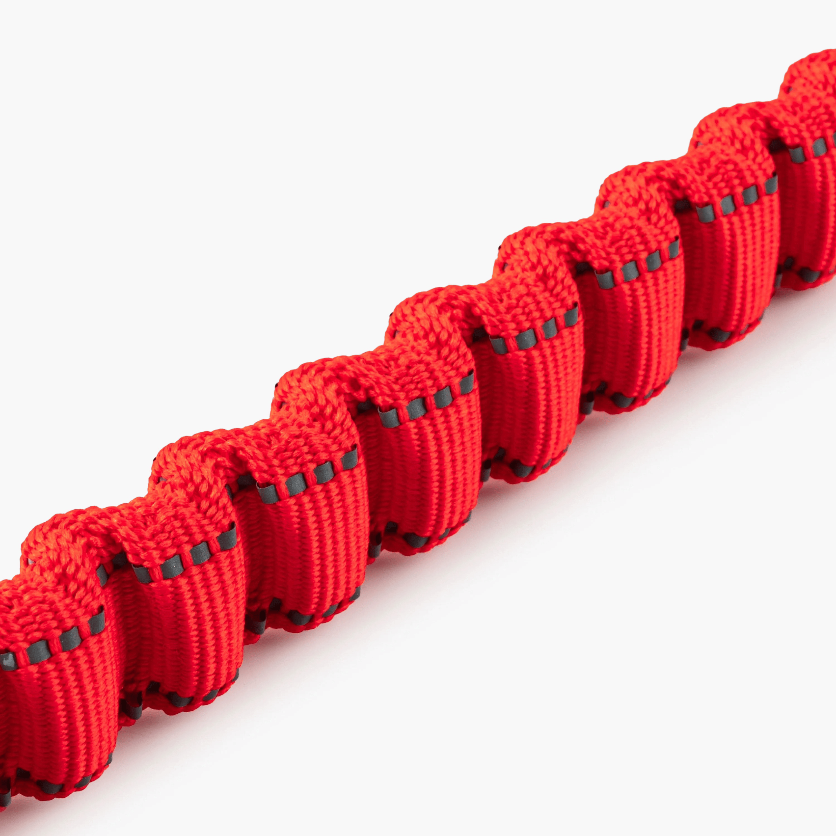 Red dog leash with black and silver hardware on a white background