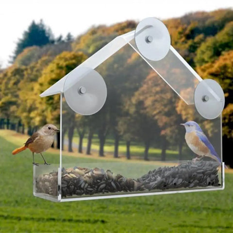 Suction Cup Bird Feeder - Tutuky