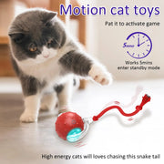 Interactive ball with string for cats - Tutuky