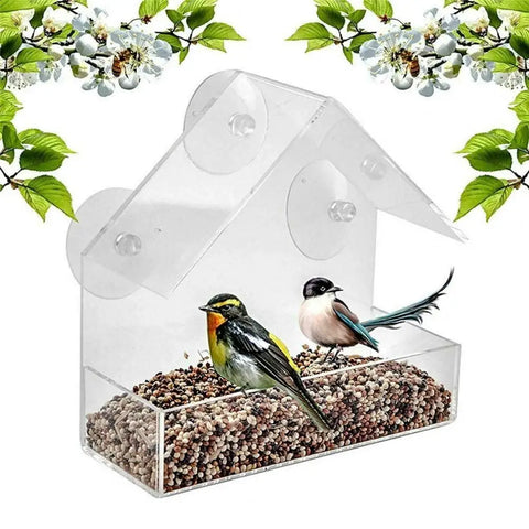 Suction Cup Bird Feeder - Tutuky