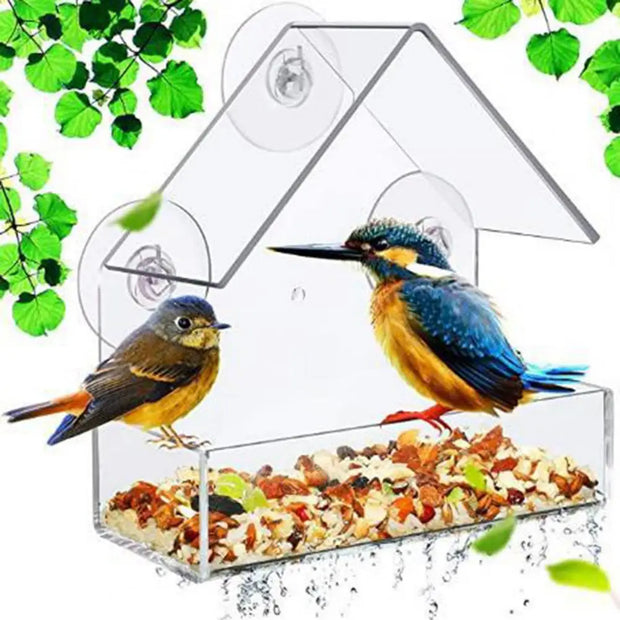 Suction Cup Bird Feeder - Tutuky