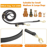 Soft Leather  Hands Free Leash - Tutuky