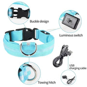 Pet Dog LED Glowing Collar - Tutuky