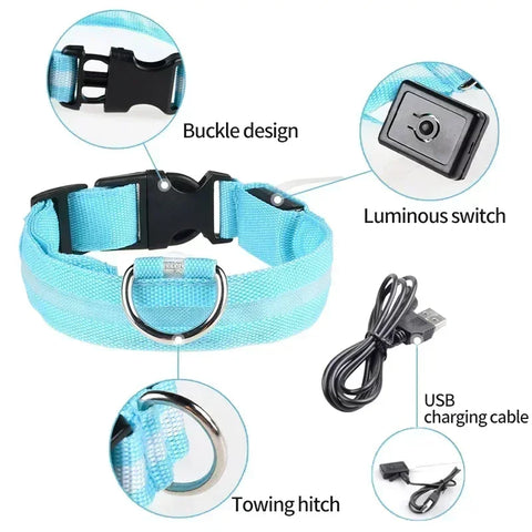 Pet Dog LED Glowing Collar - Tutuky