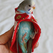 Lovely Bird Clothes - Tutuky