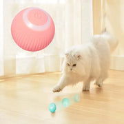 Electric chasing ball for Cats - Tutuky