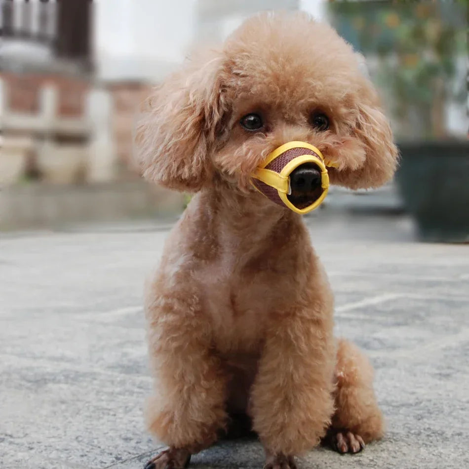 Anti Barking Nylon Muzzle Pet Mouth Muzzles for Dogs - Tutuky