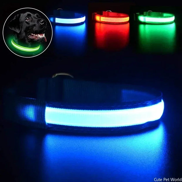 Pet Dog LED Glowing Collar - Tutuky